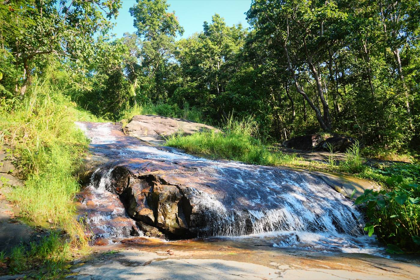 A small waterfall over rock in the forest