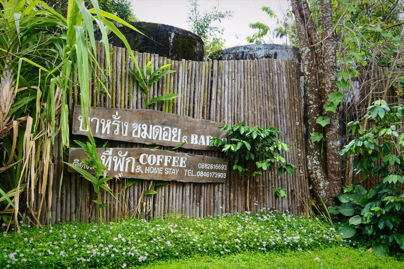 Bamboo sign for coffee in the village
