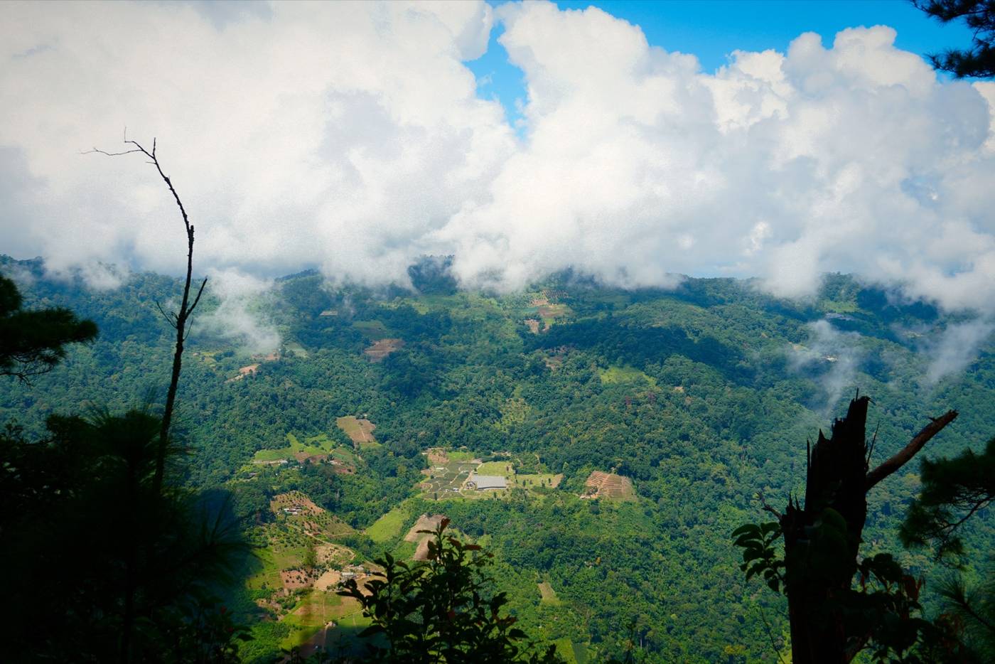 Clouds rolling over the valley from the ridge above Khun Chang Kian