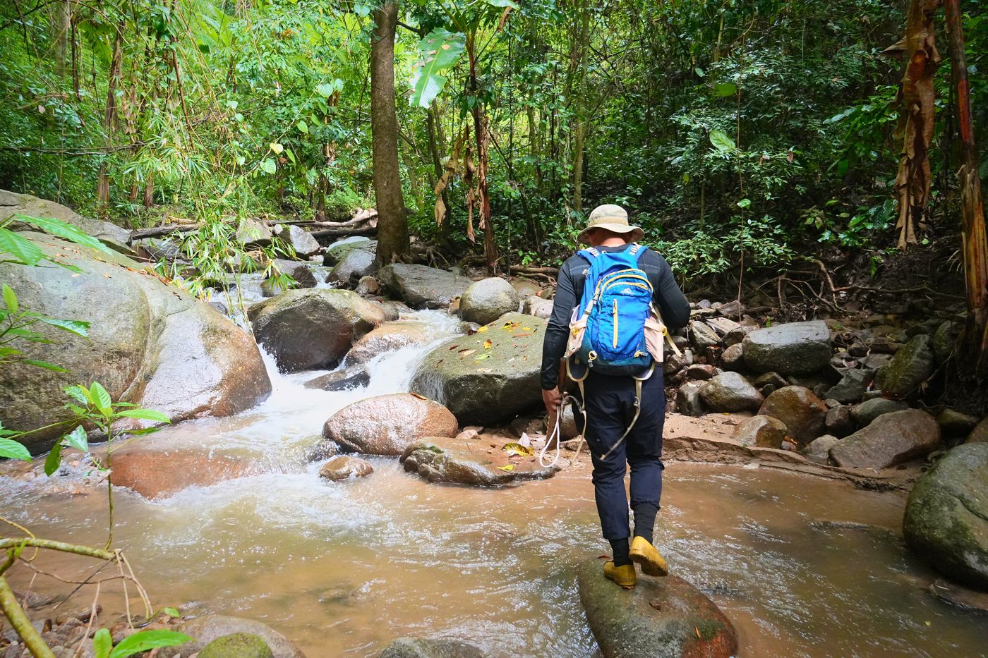 Walking up the middle of a shallow jungle river