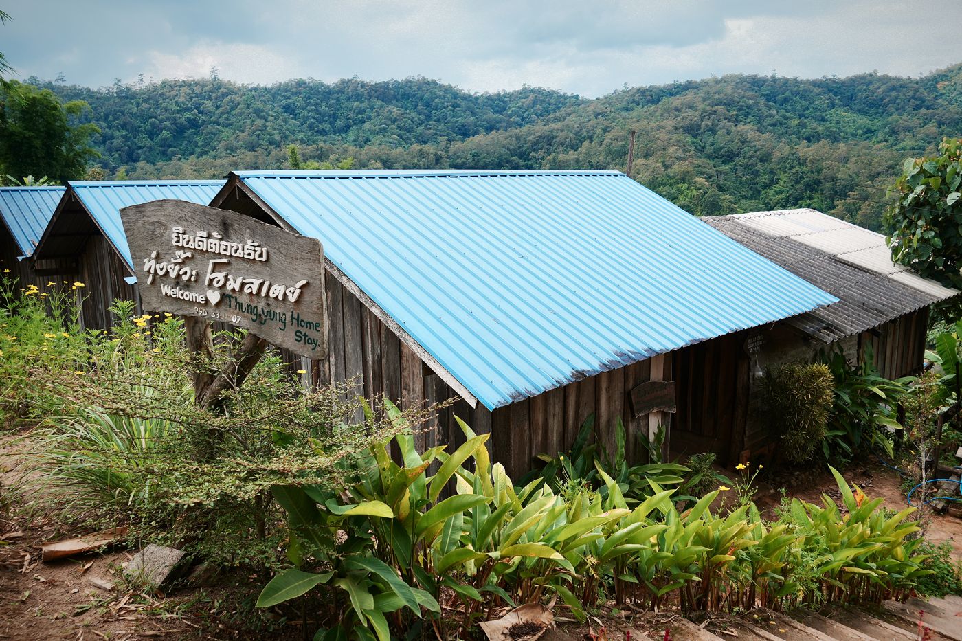 Wooden homestay buildings with blue roofs in the village