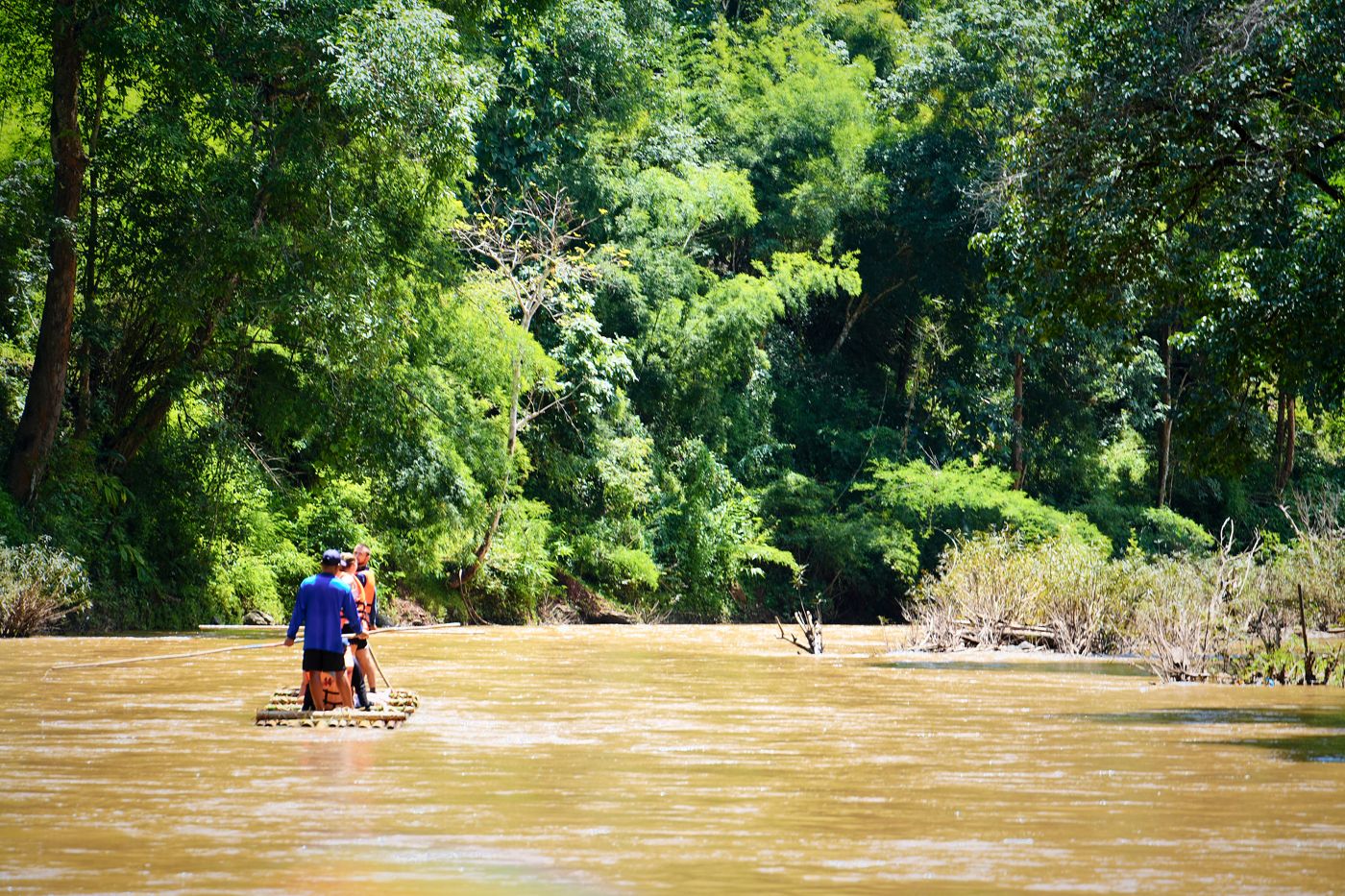 A bamboo raft on a brown river between jungle-covered banks