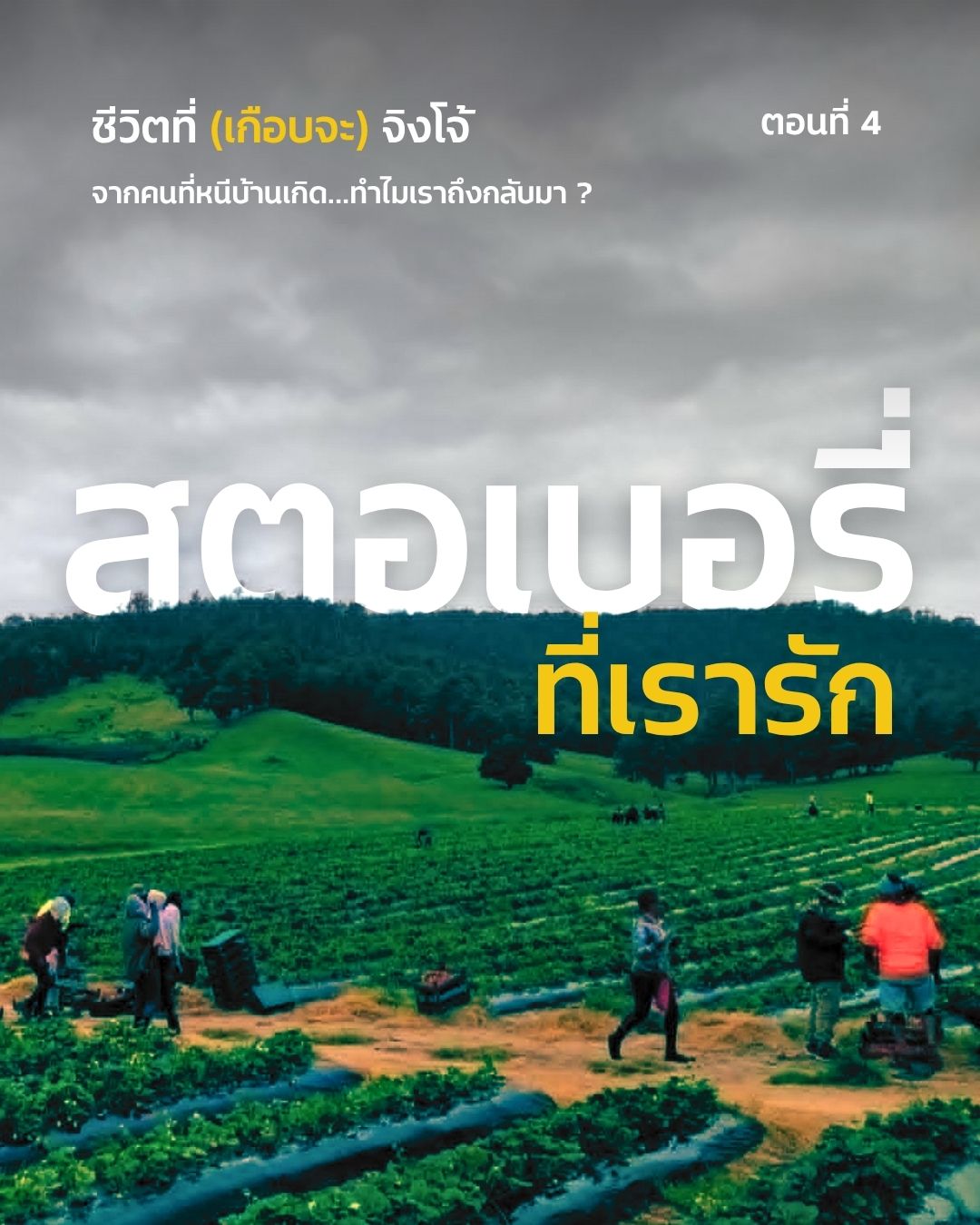 ชีวิตที่ (เกือบจะ) จิงโจ้ ตอนที่ 4