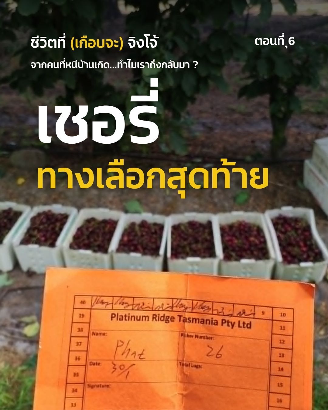 ชีวิตที่ (เกือบจะ) จิงโจ้ ตอนที่ 6